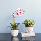 Arranjo Peperômia Artificial No Vaso Branco Cerâmica | Formos